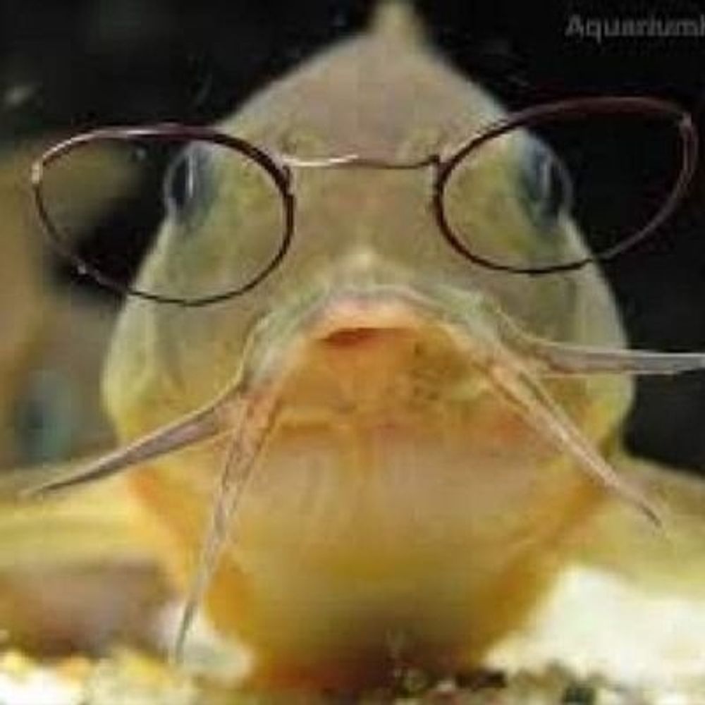 SmartFish's avatar