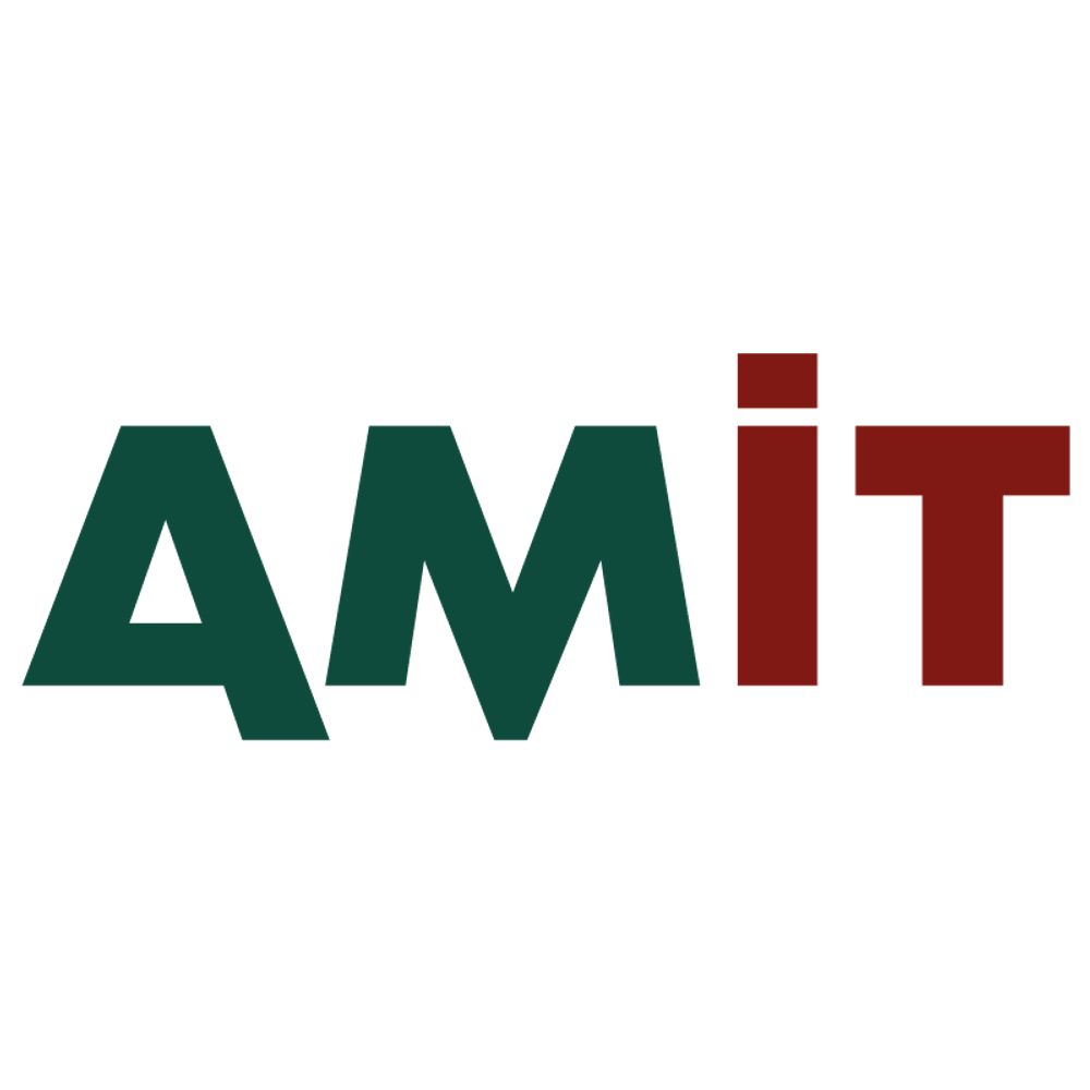 Asociación de Mujeres Investigadoras y Tecnólogas (AMIT)