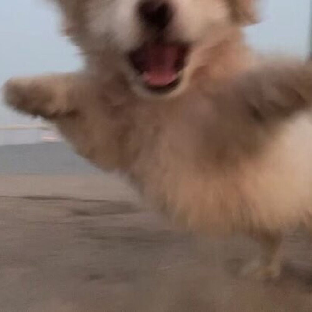 어바등맘찍요