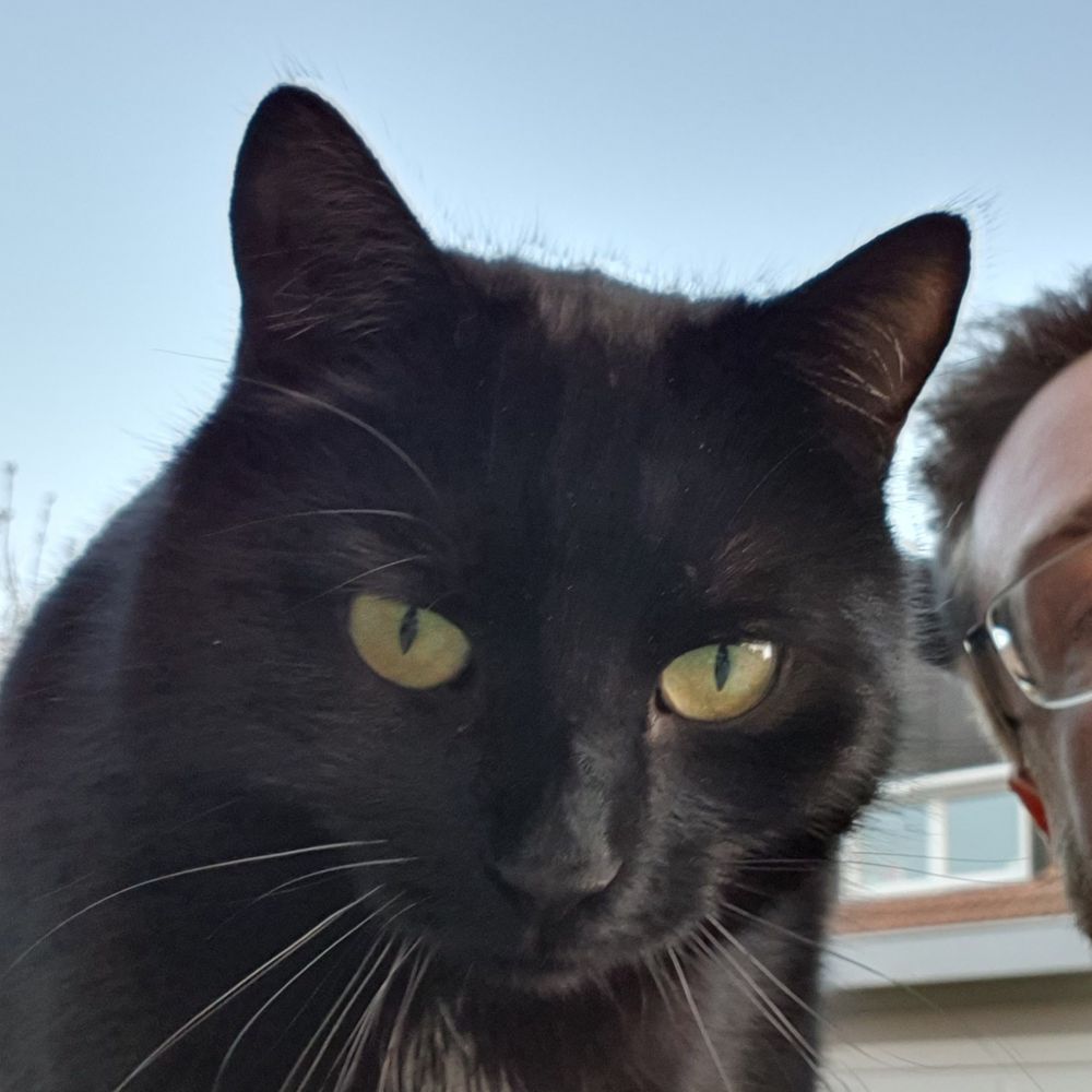 Kater K.