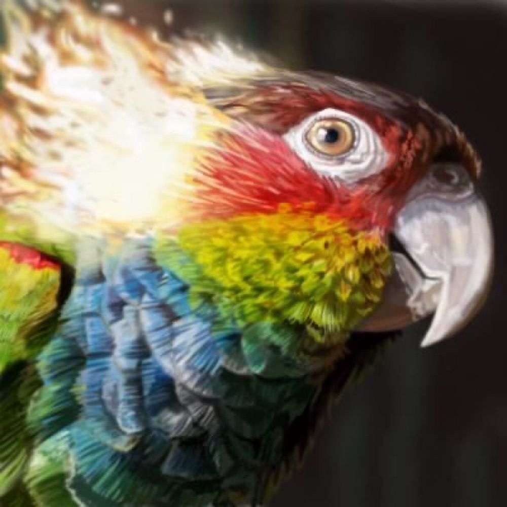 Harkthorn's avatar