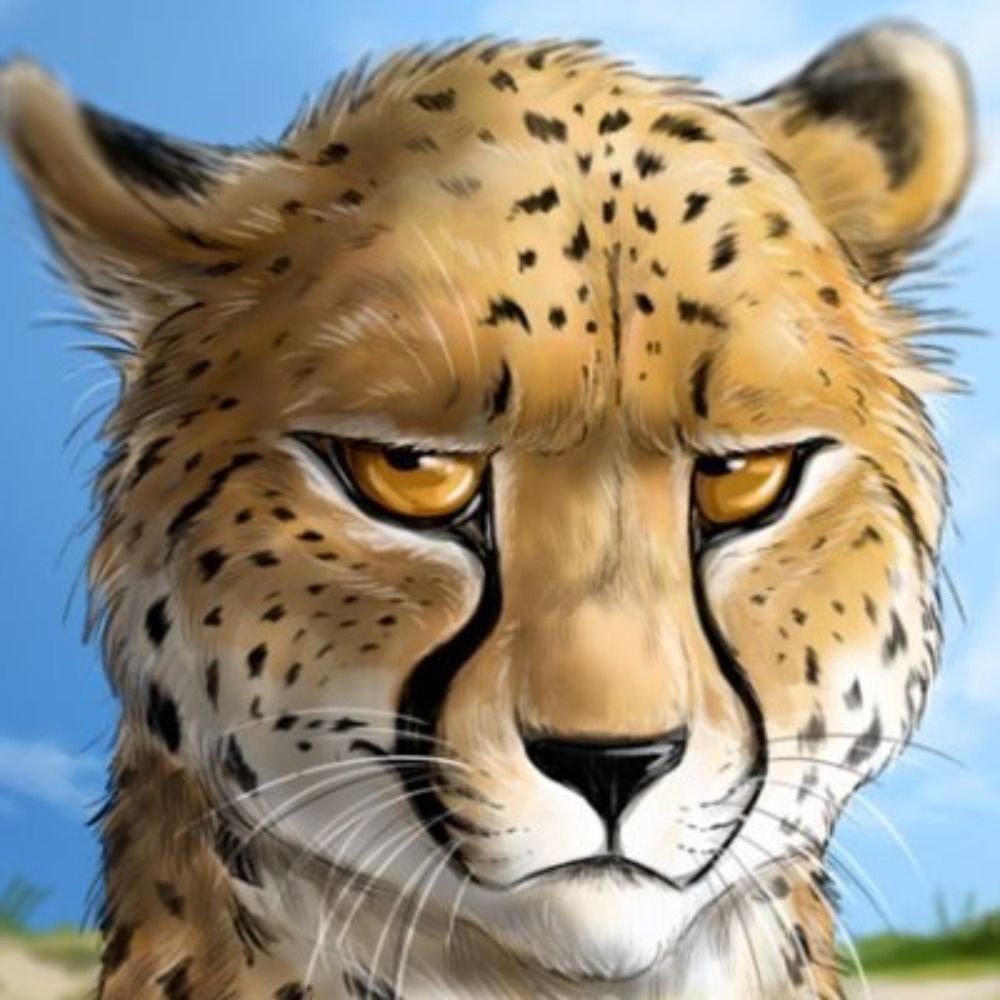 scottishchee's avatar