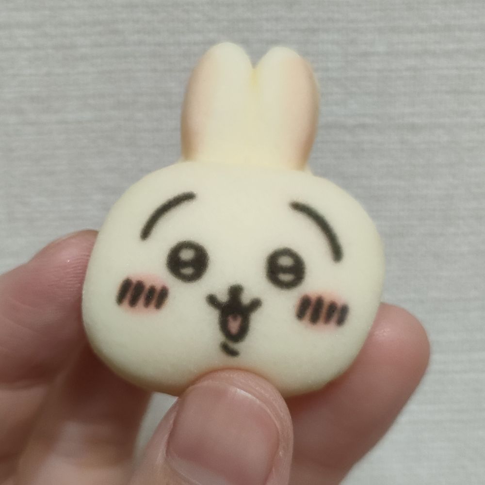 カイコ