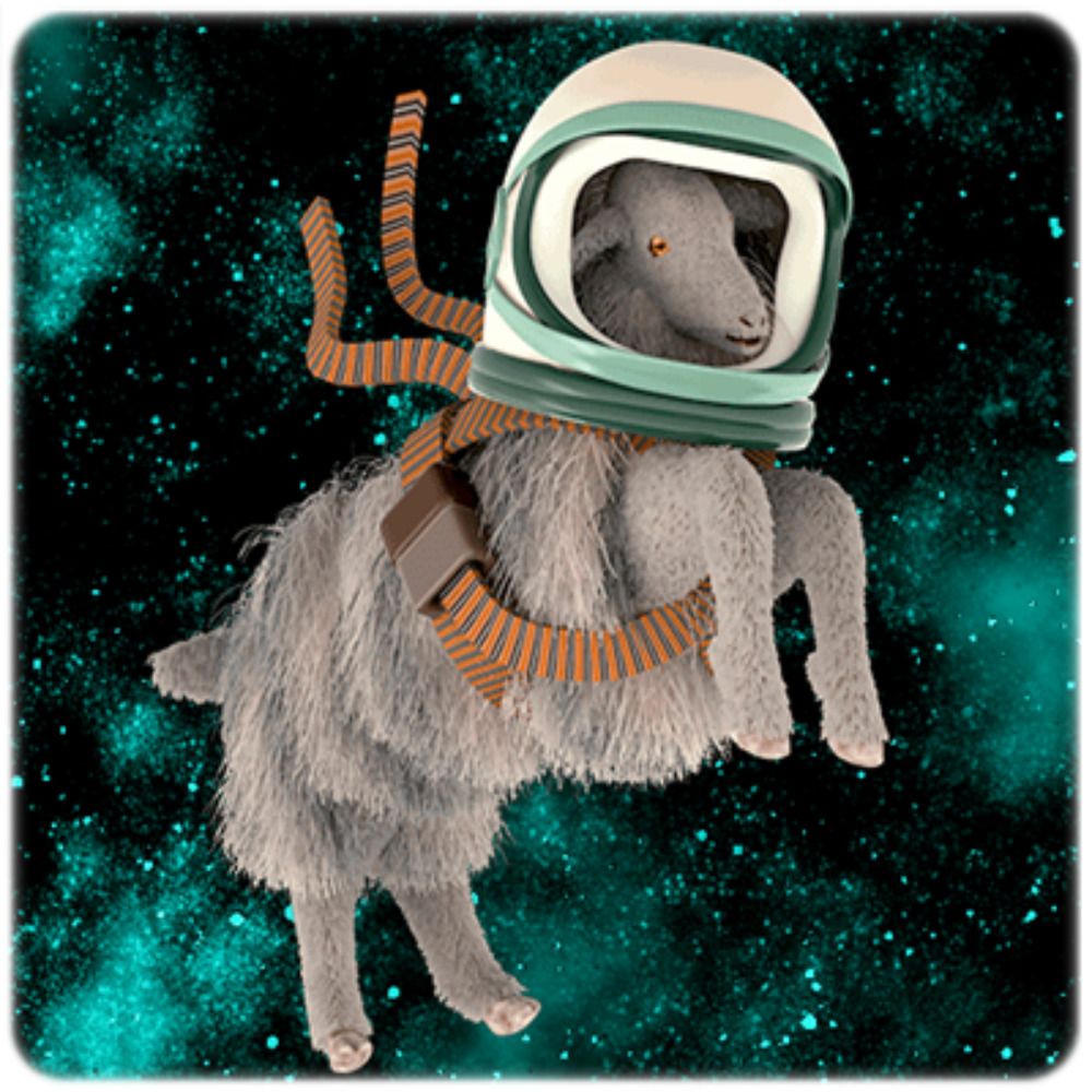 Derelict Space Sheep
