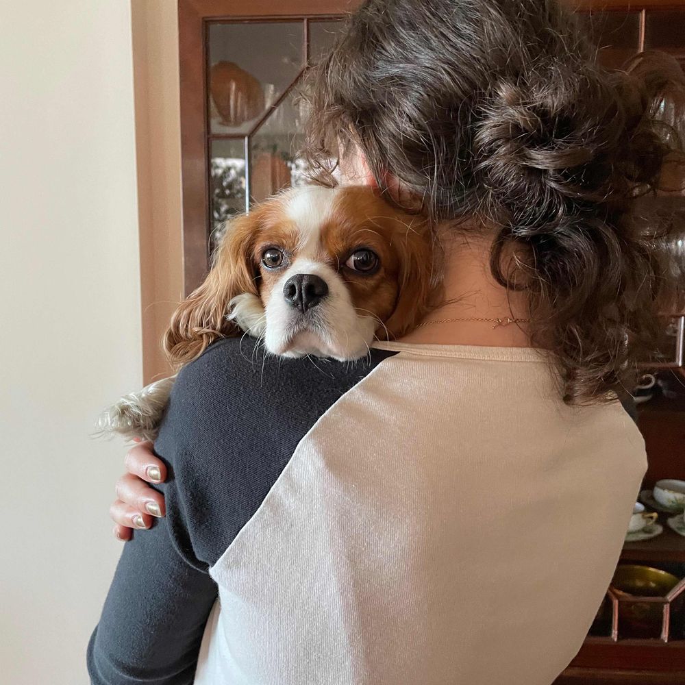 CherylPup