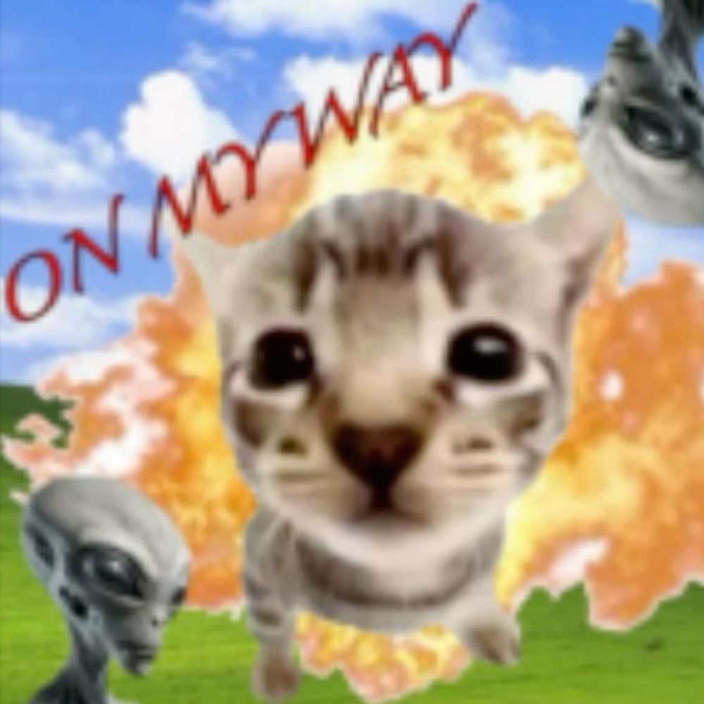 Davekat feels good in a place like this