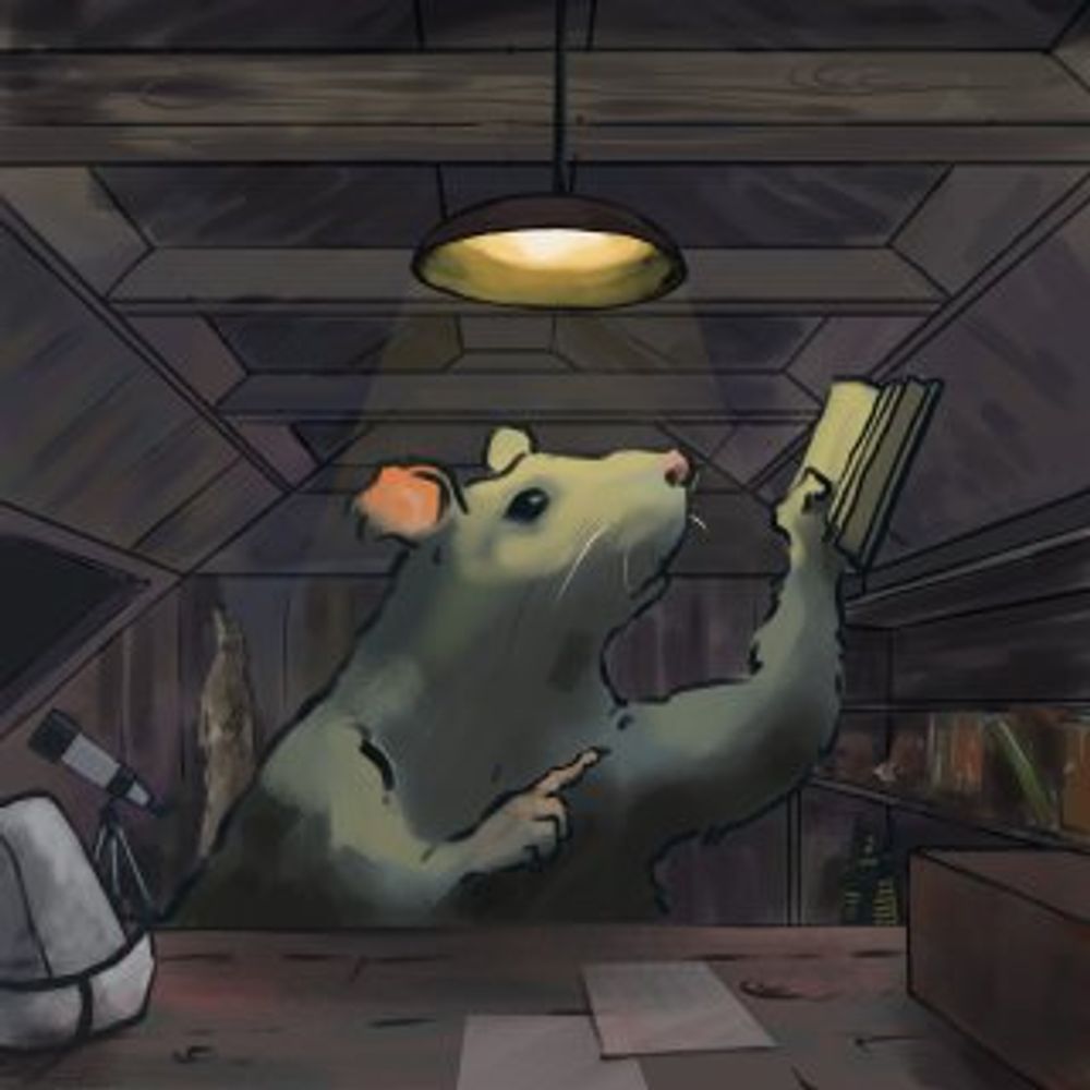The Rat's Attic