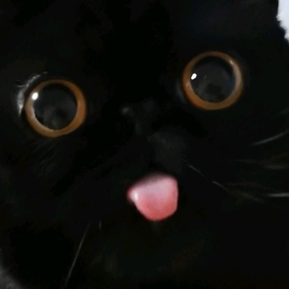 Eggy Sebby