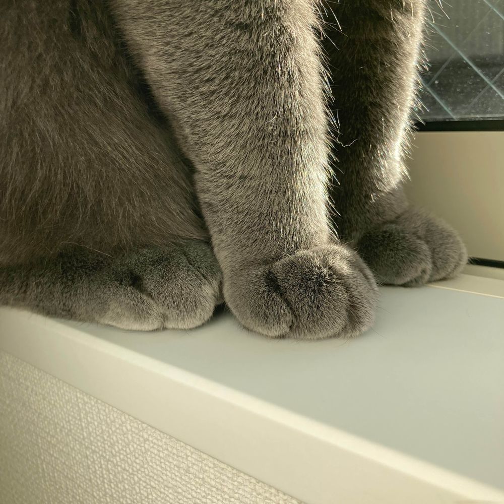 ささや
