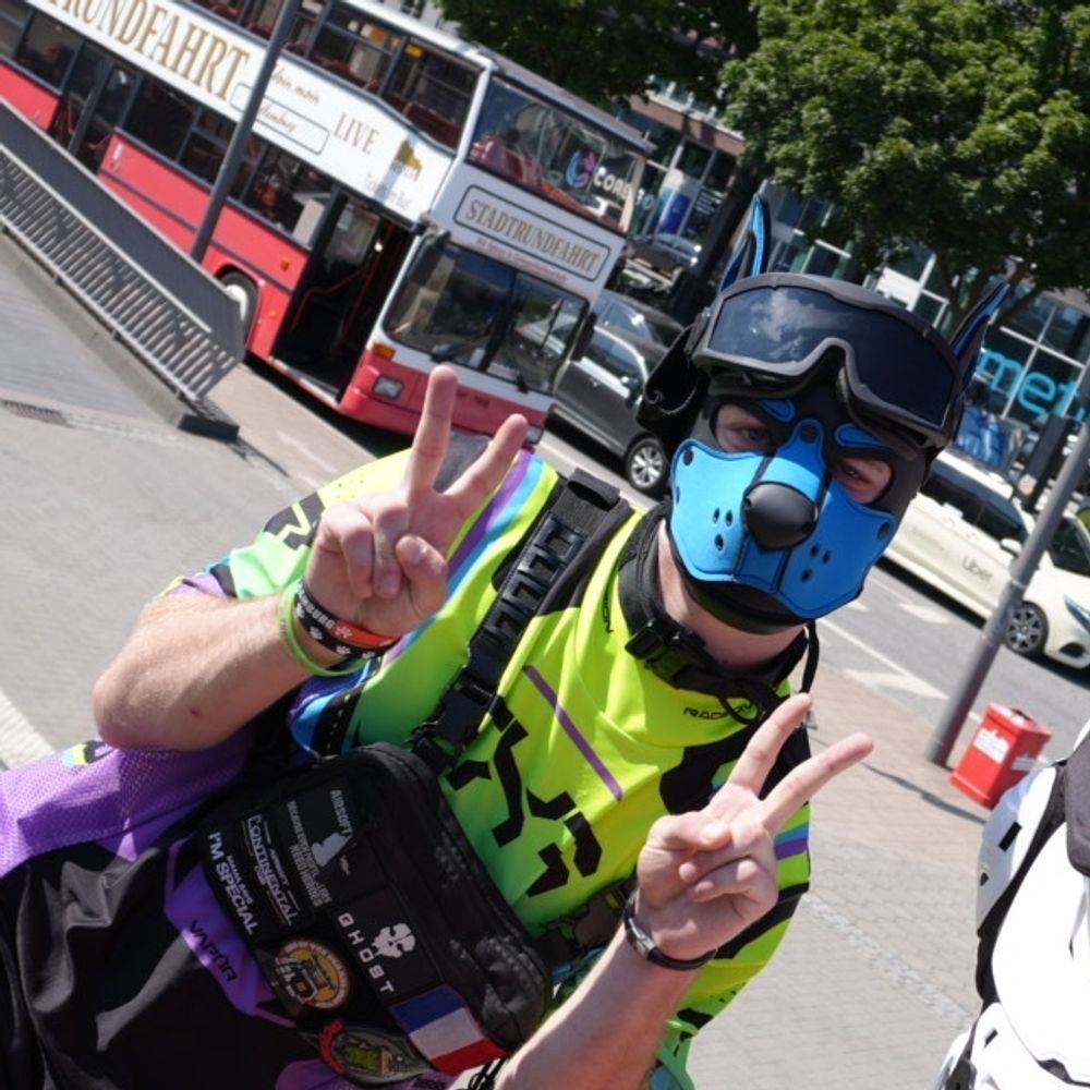 Pup_marui