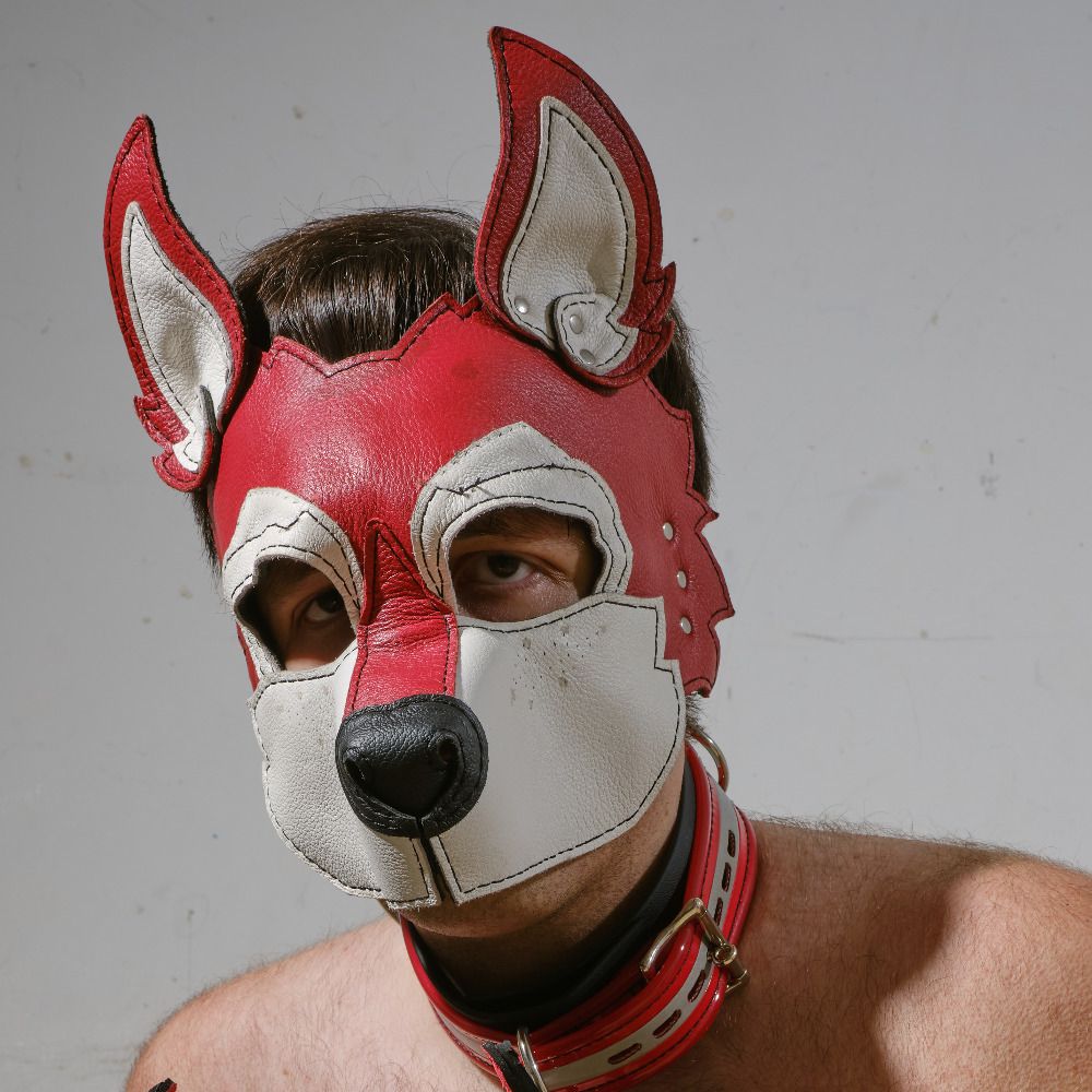 Pup King  @ AC's avatar