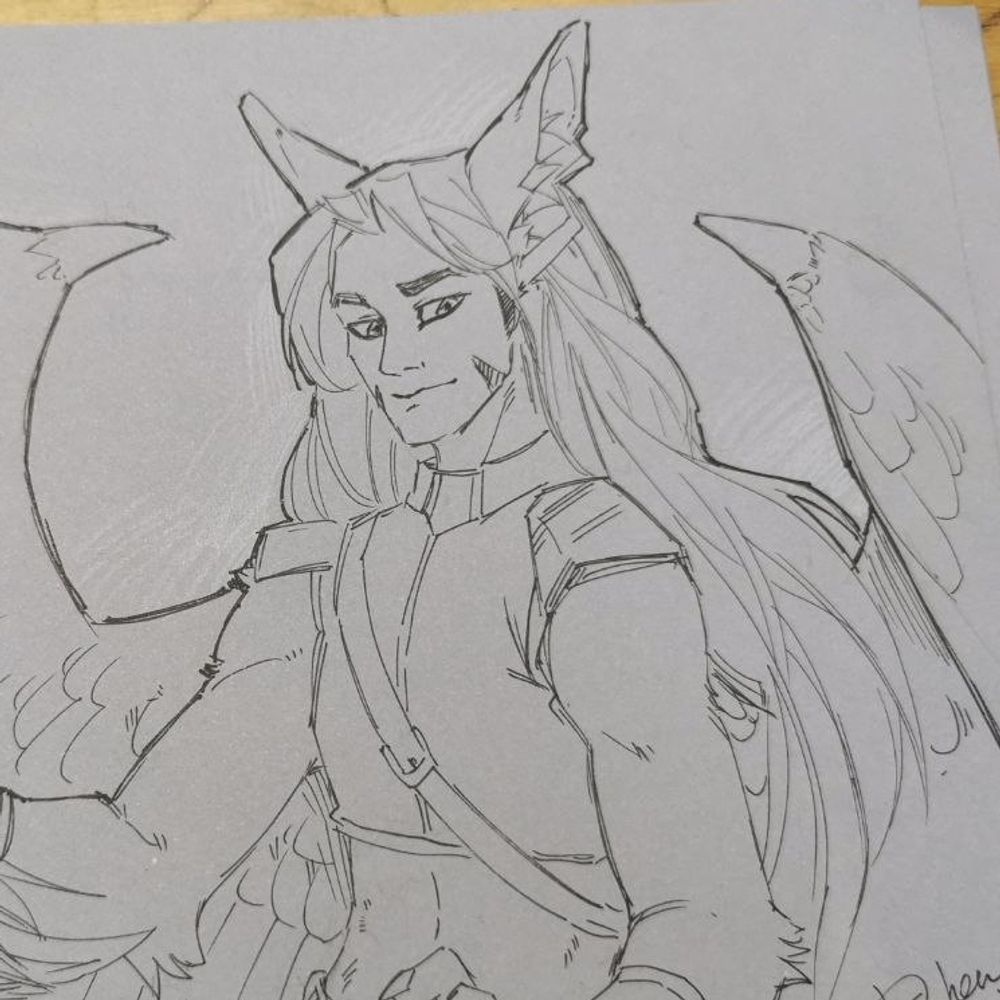 TaoHus🪲