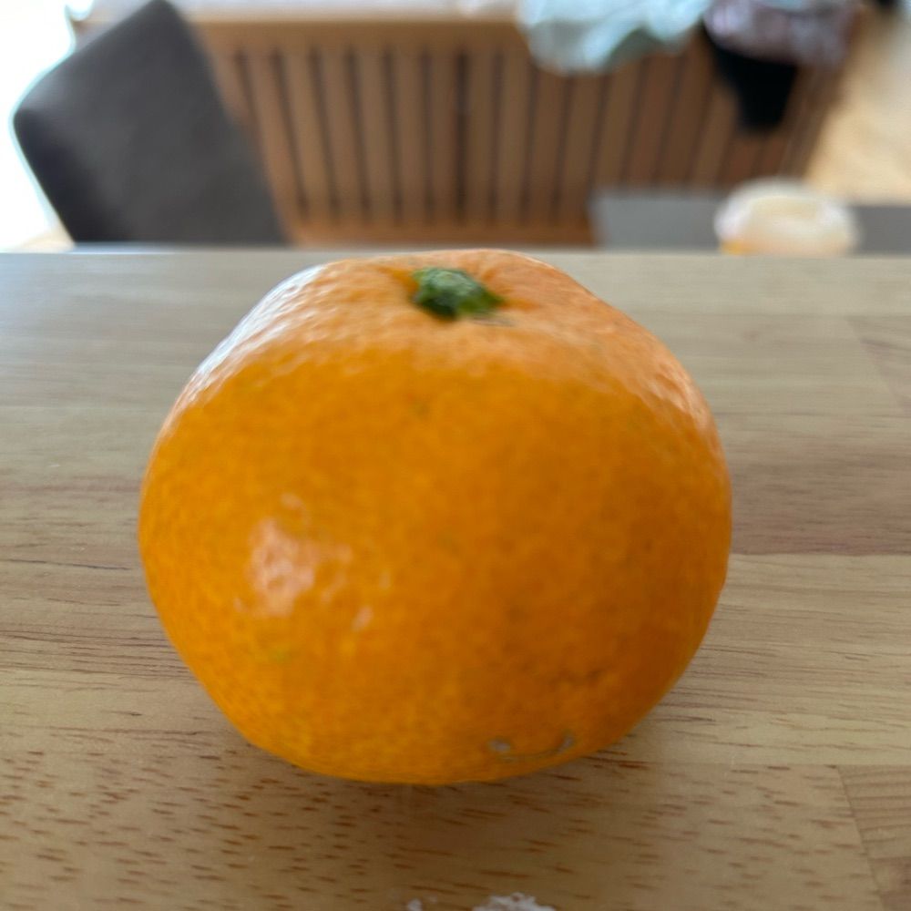 祝子