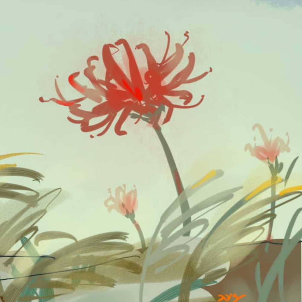 Lycoris🌹​