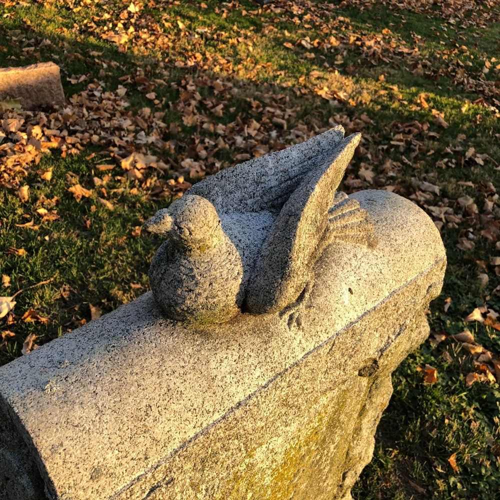 Posts in the Graveyard