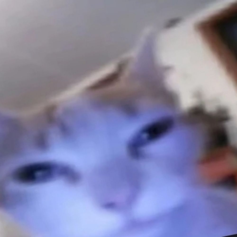Alo