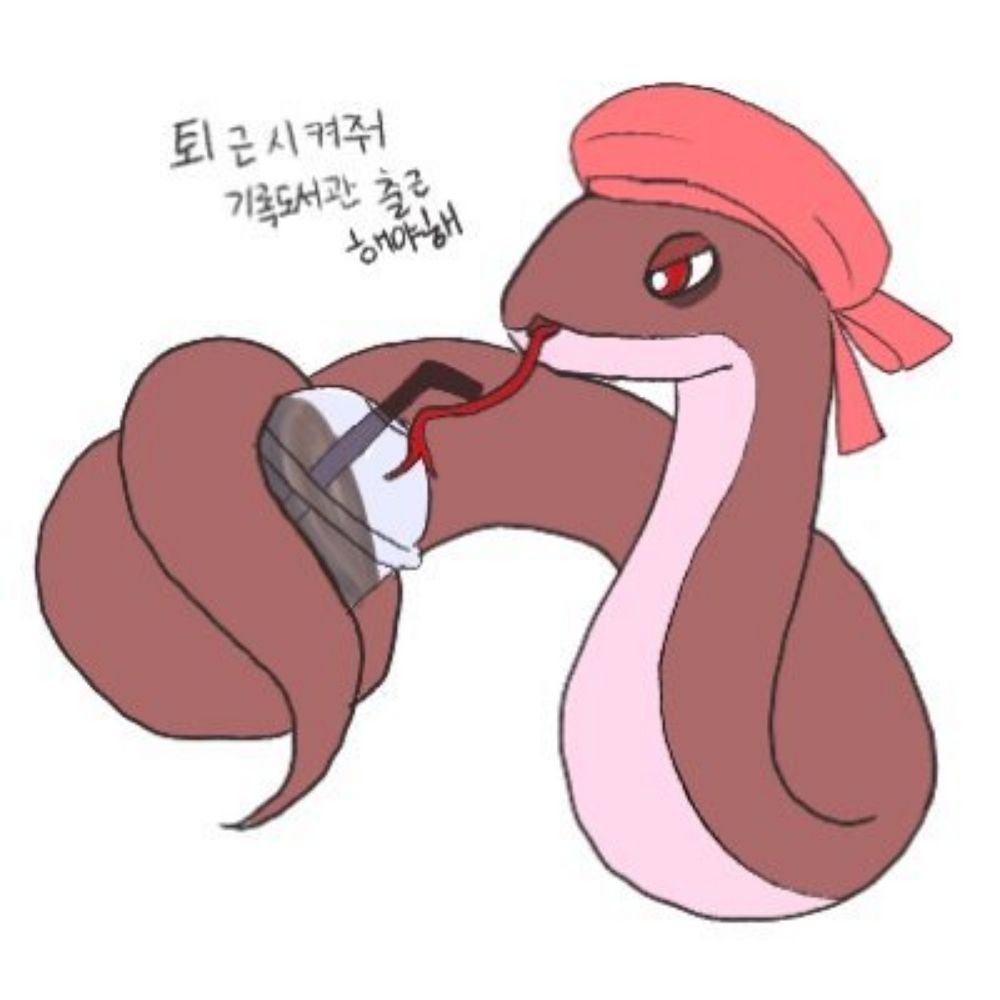 플랫