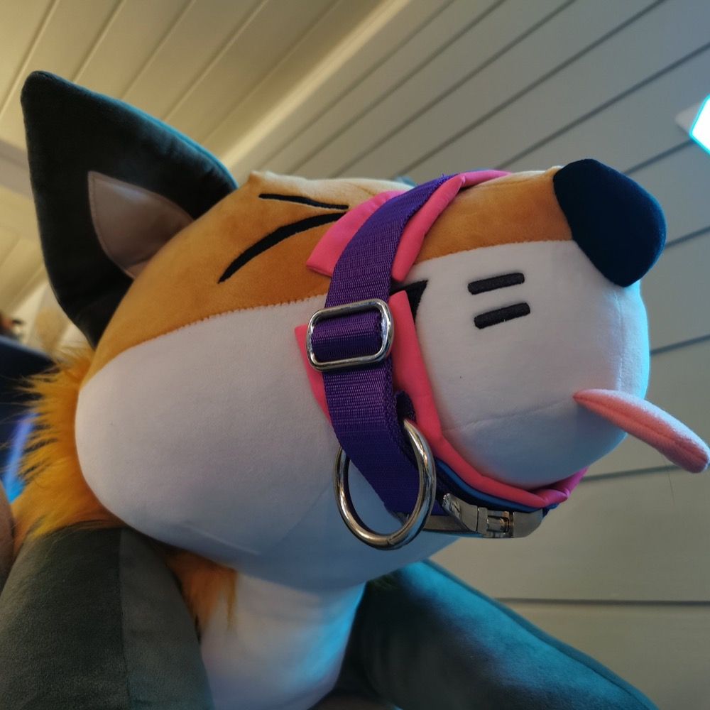 Doggie