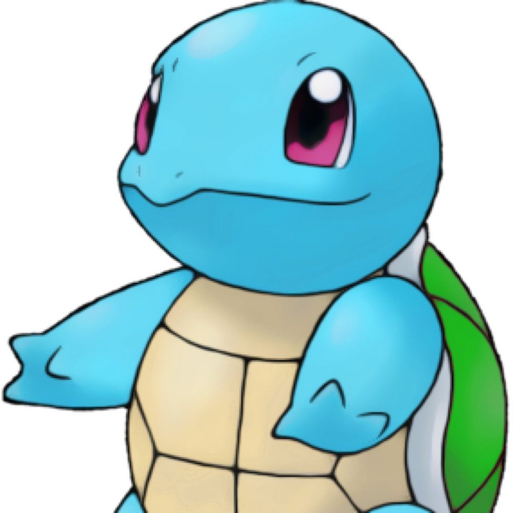 Turtle Hat