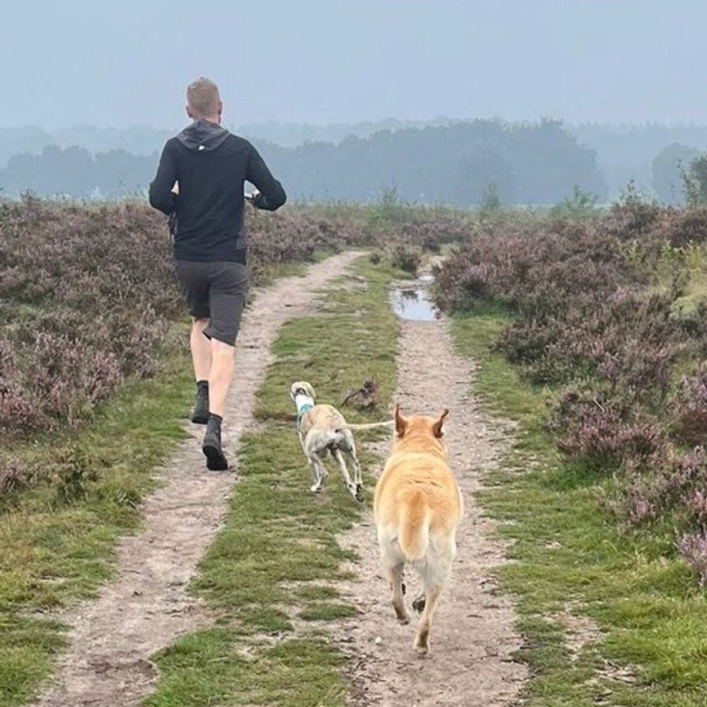 Hessel Koster