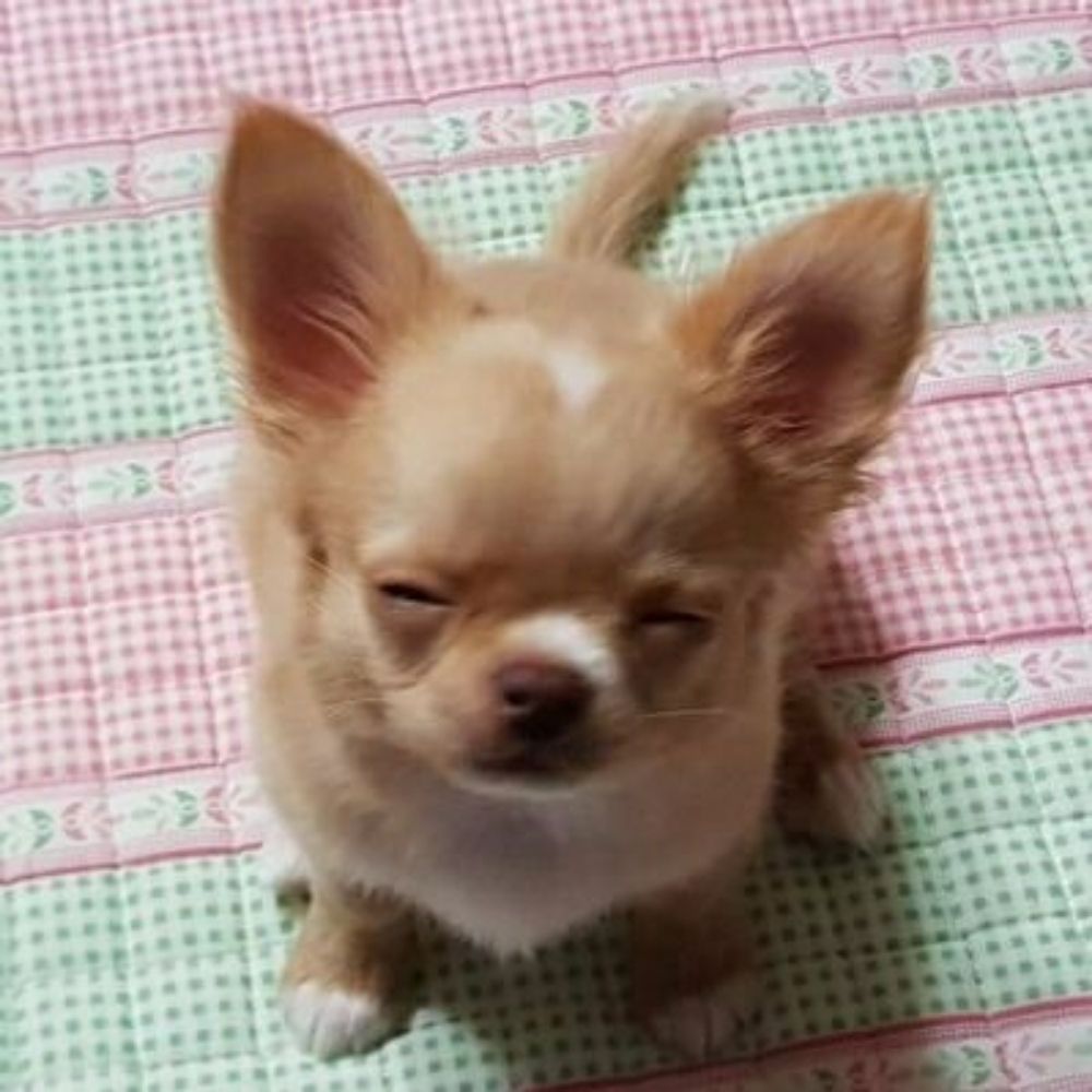 곽삼삼