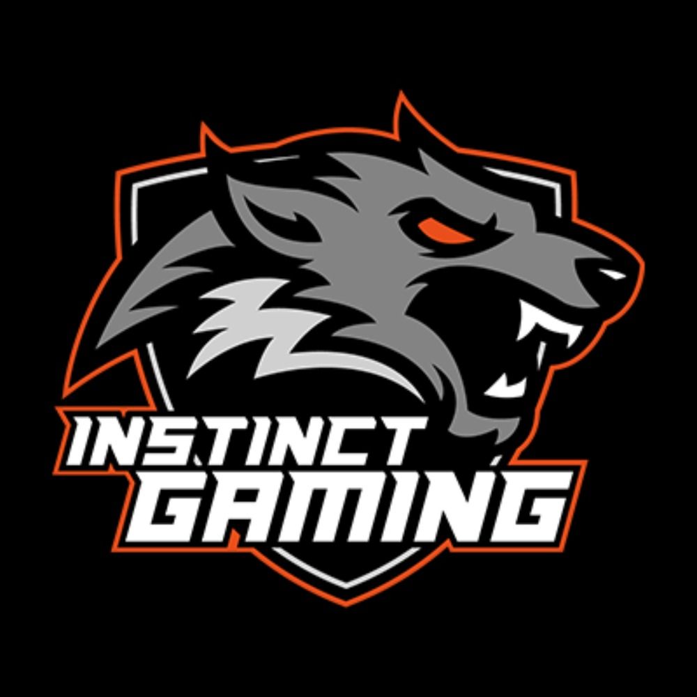 Instinct Gaming.gg