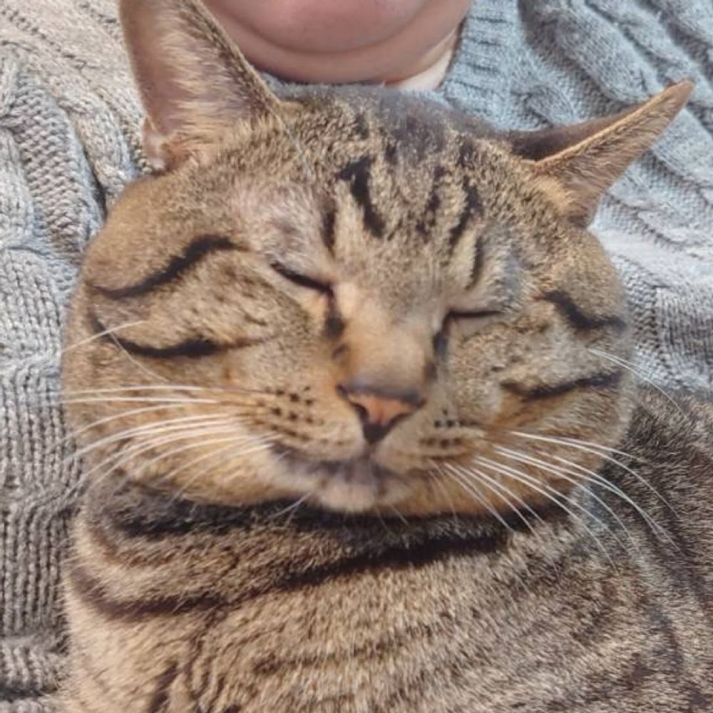ハルジェラ