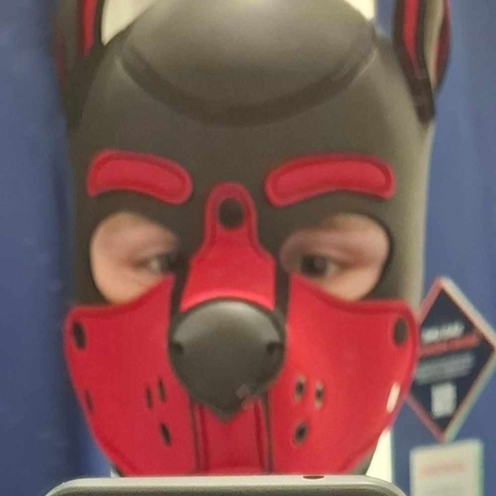 Pup_Gismo