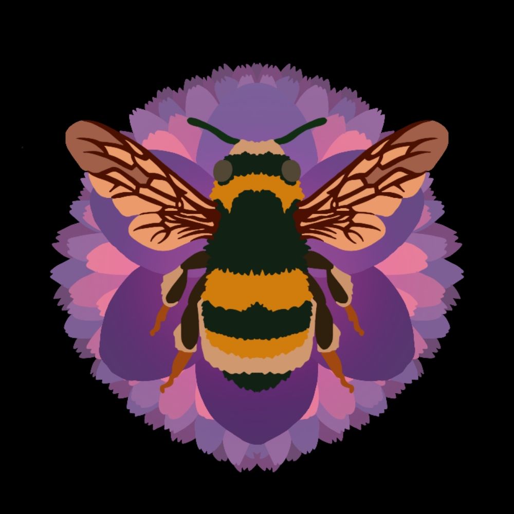 🔞 Honeybees [|🍯💫|]
