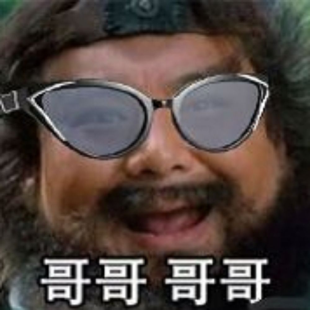 你当像鸟飞往你的山zh