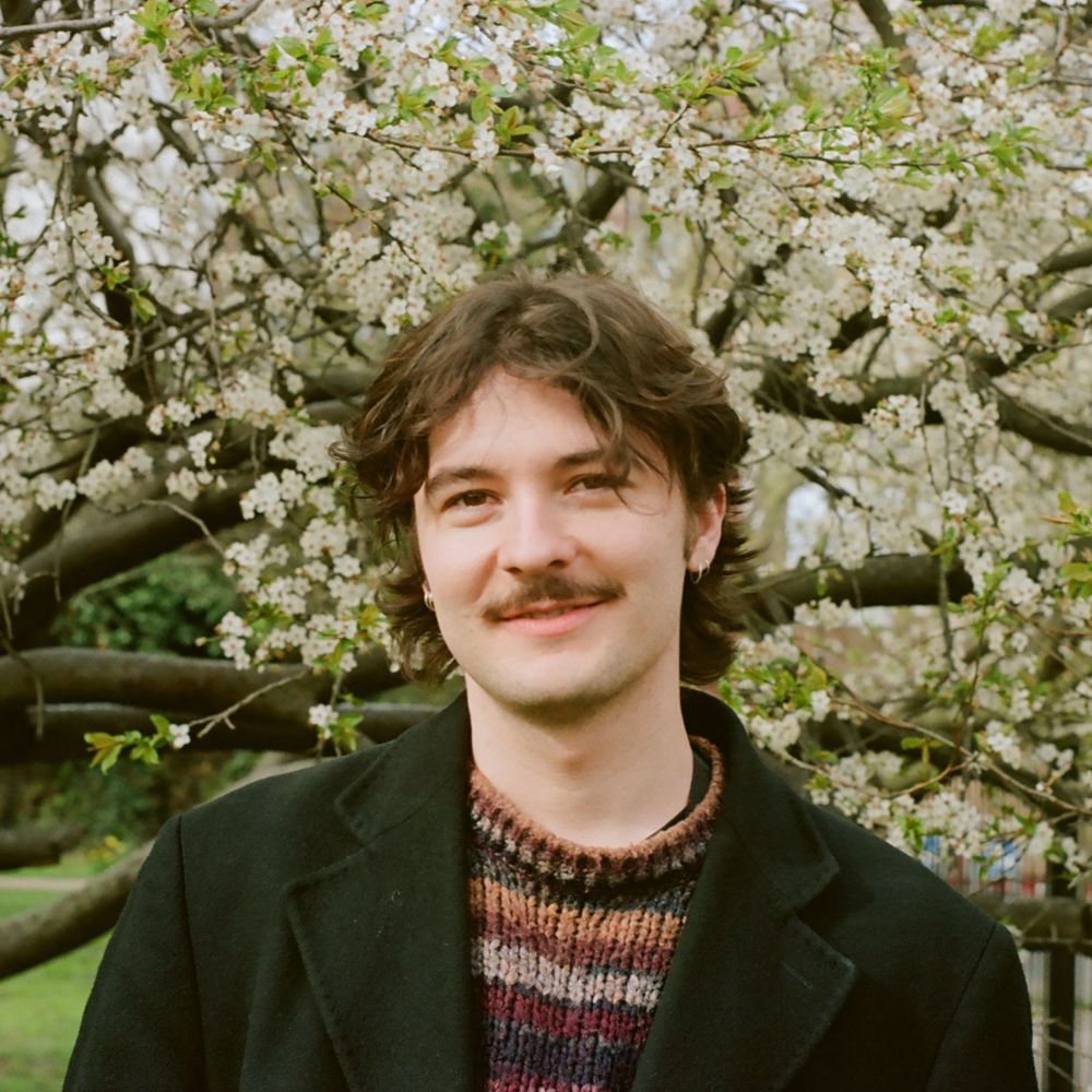 David Lawton