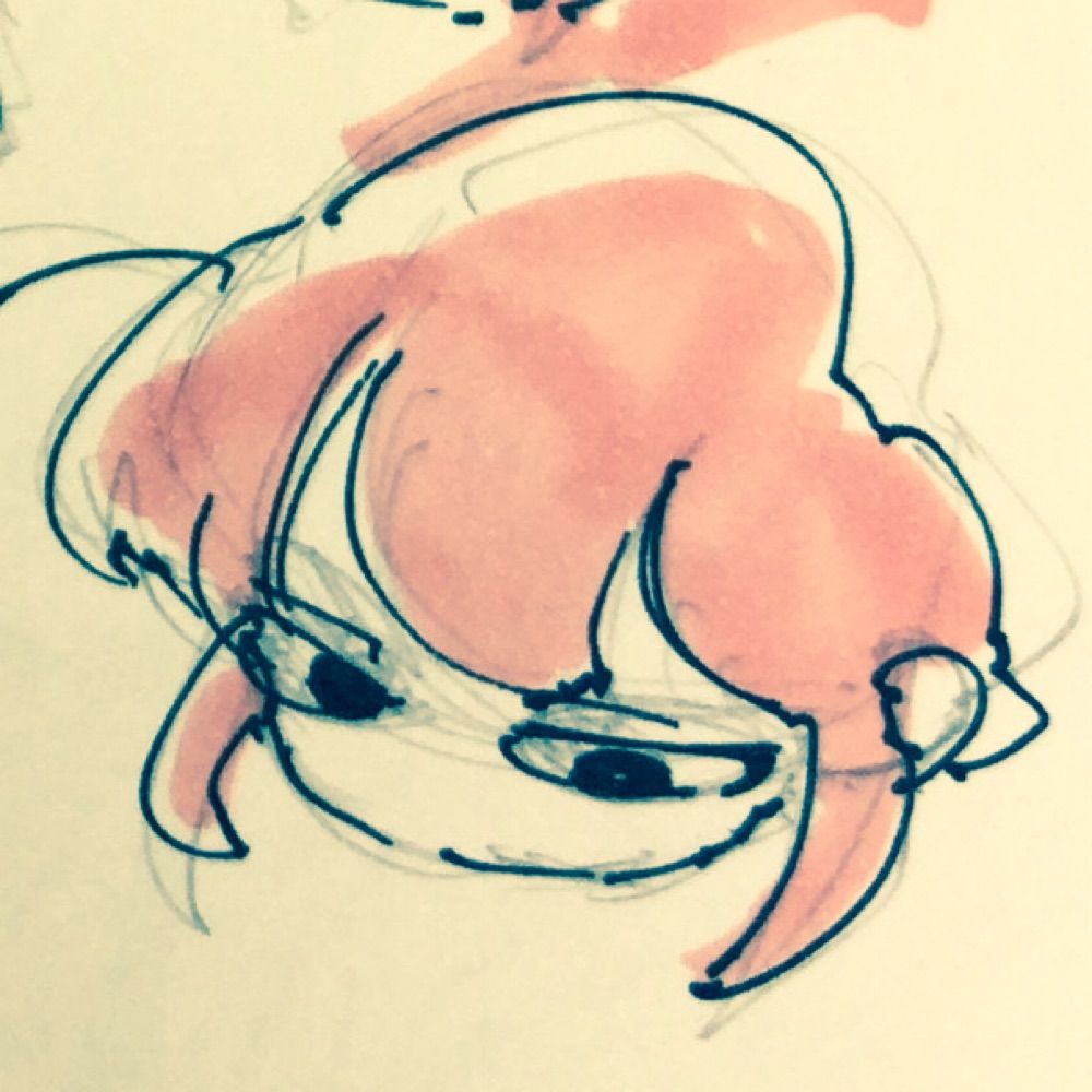 川浦