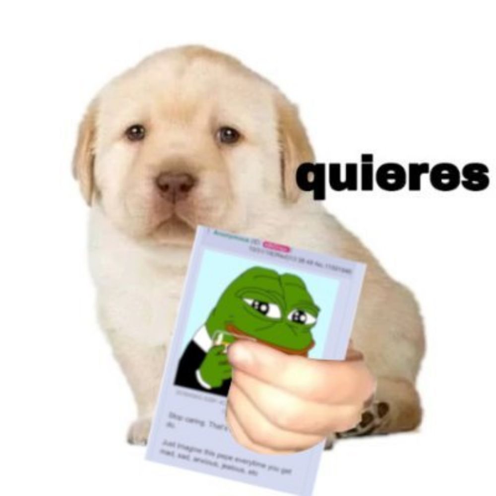 🕑Hourly Shitpost🕒