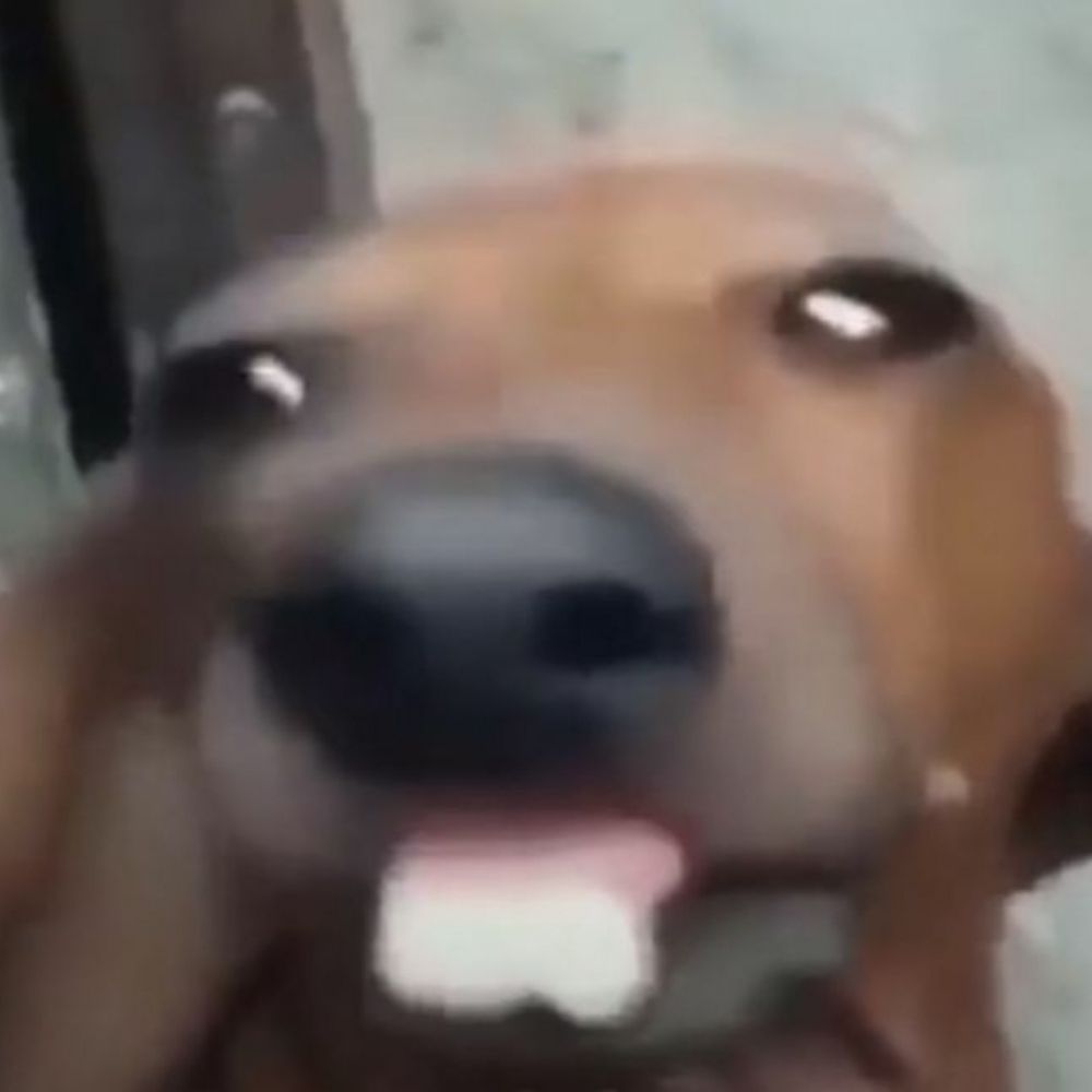 mano ela