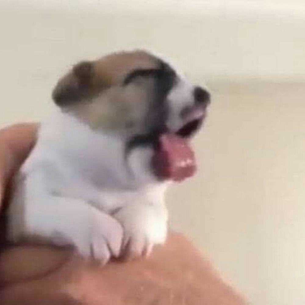 Mira