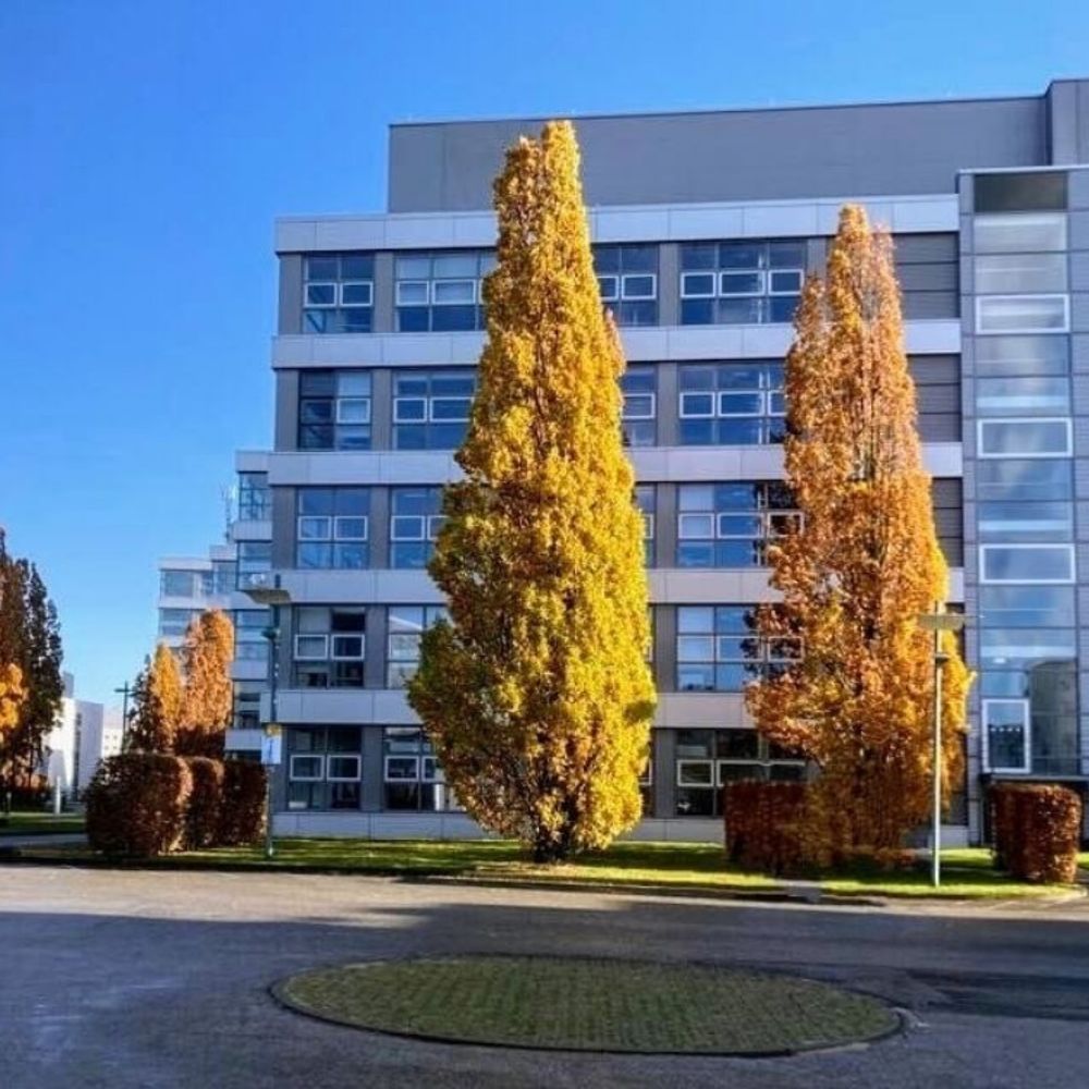 Neues Gymnasium Frankfurt