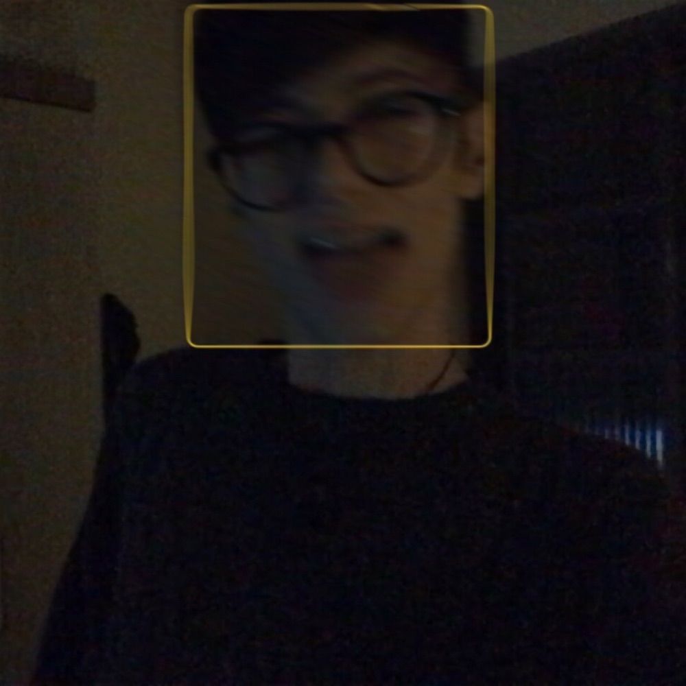 vini