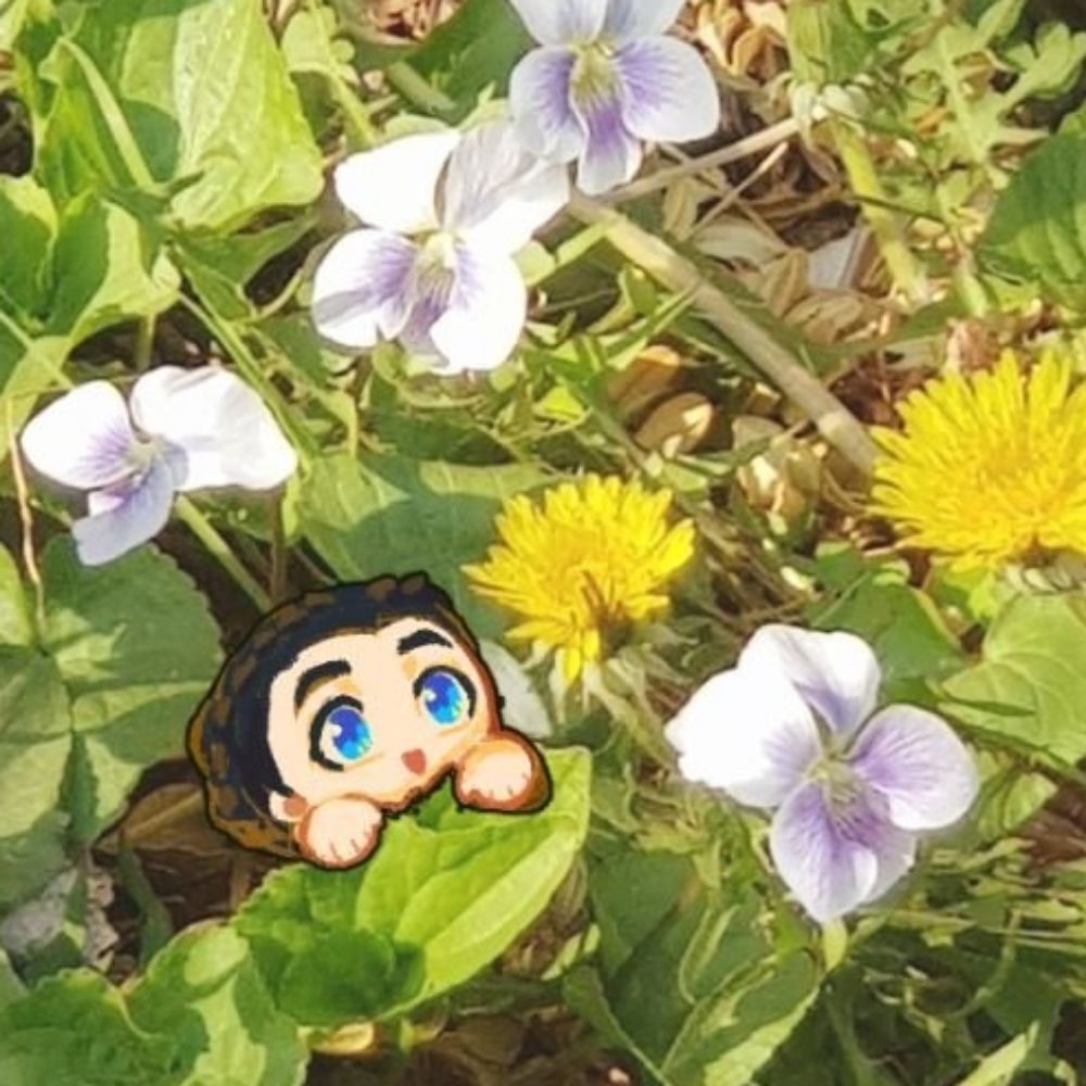 민