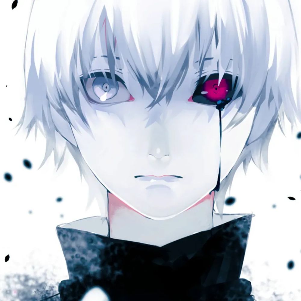 NieRly Crazy (Alex)