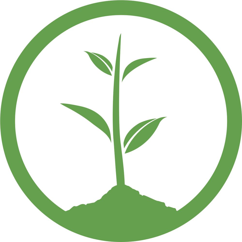 One Tree Planted