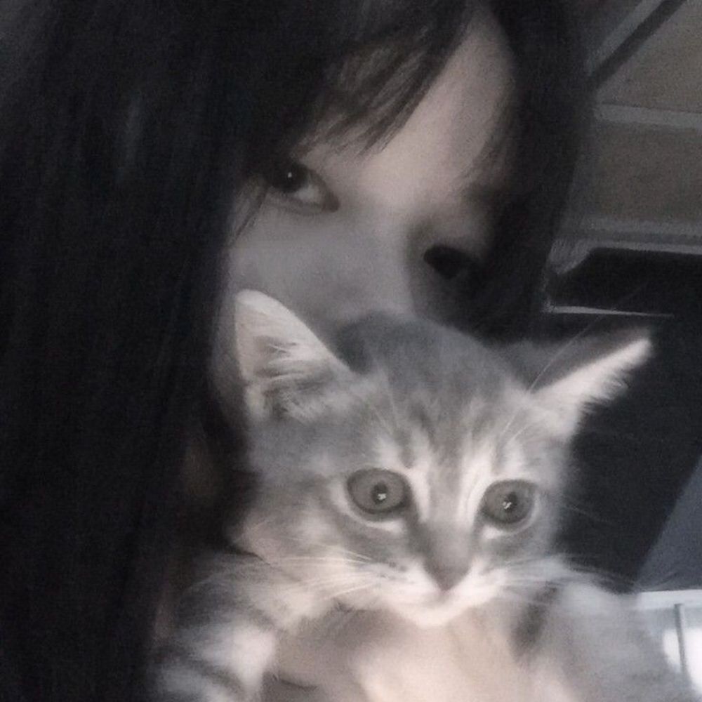 m♡j;