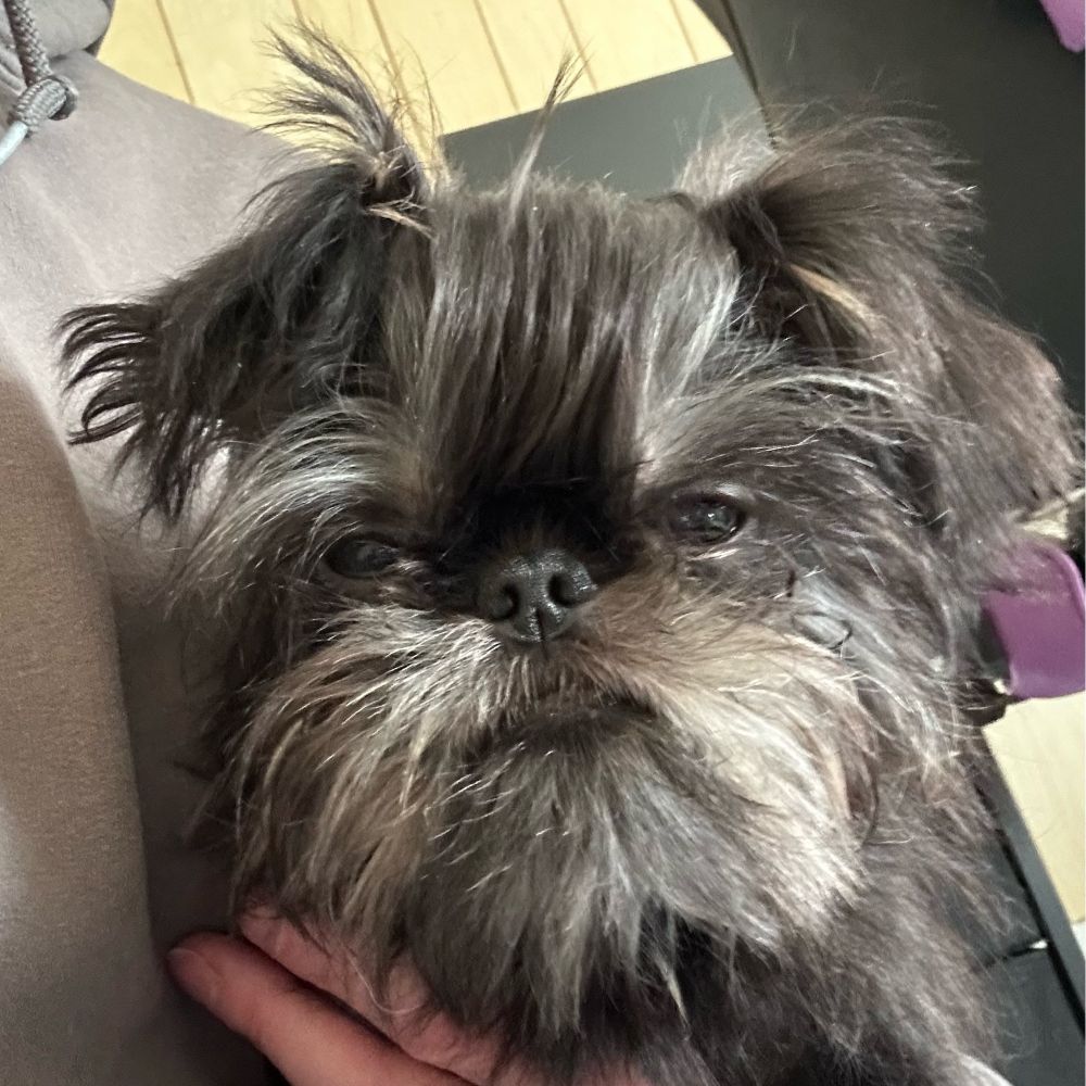 Franklin Fitzgerald Fuzzybottom