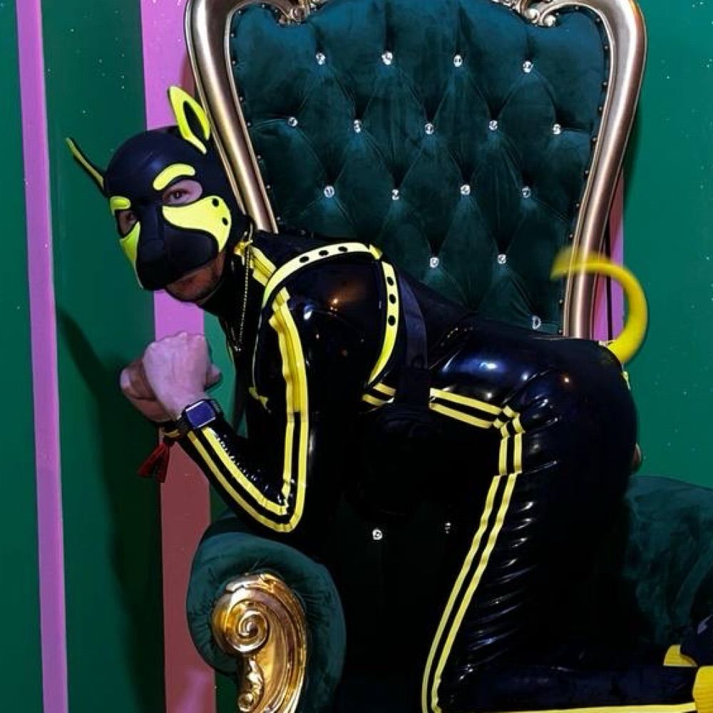 Pup Nibbles 🔜 IML