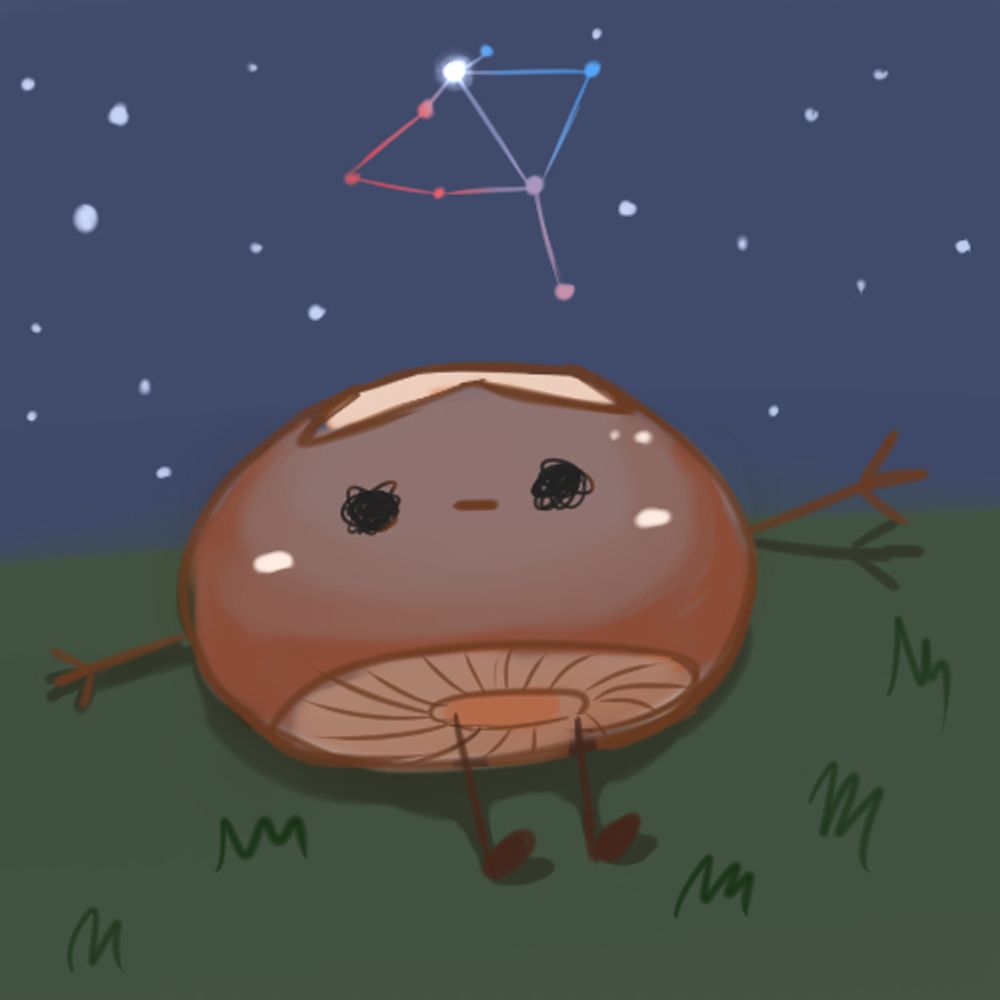 Miz.Shiitake