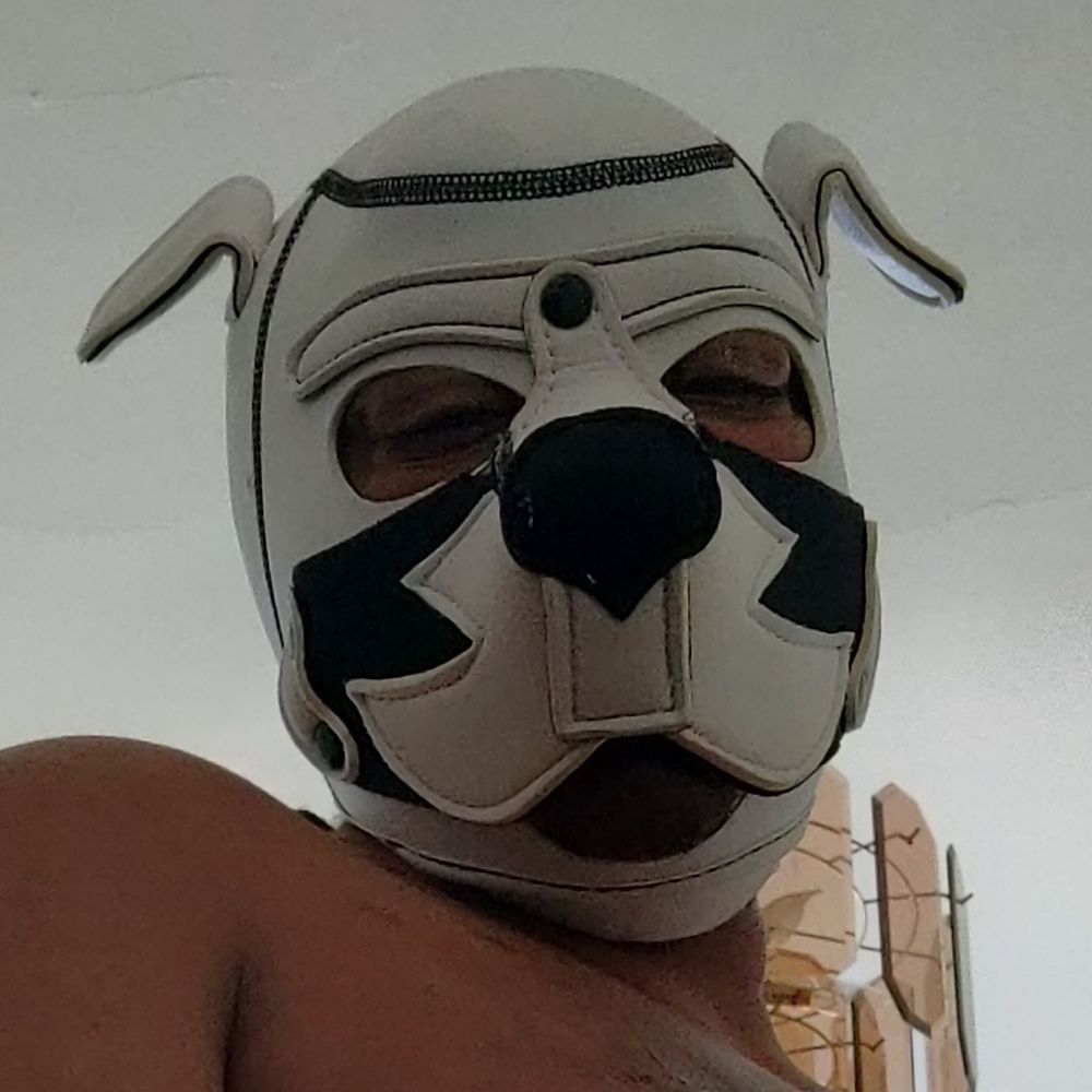 Max Pup 