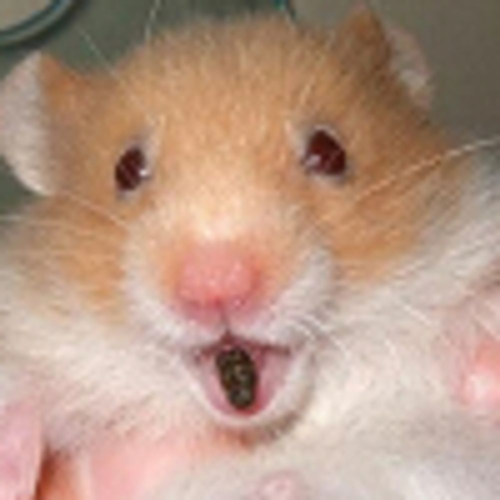 묨