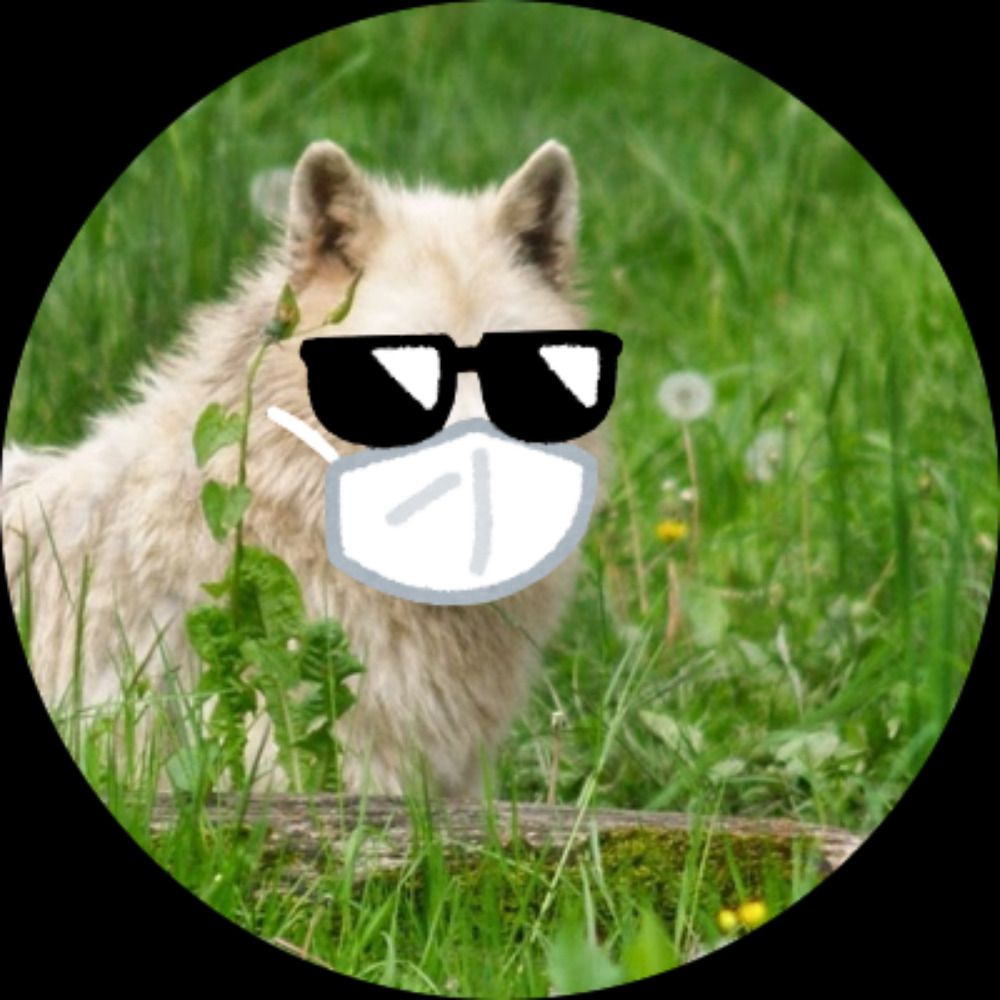 Wolfmic's avatar