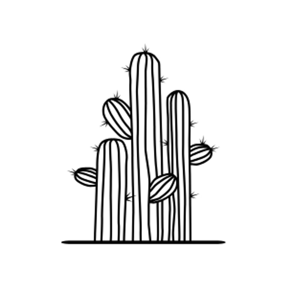 Mexico Decoded