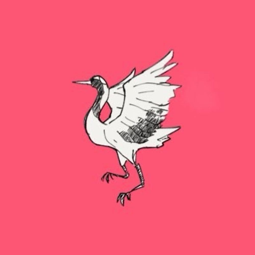 たかし菜