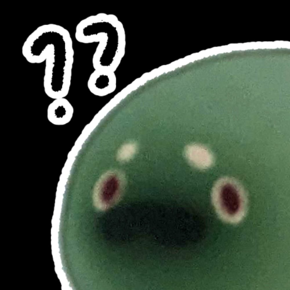 さいはて